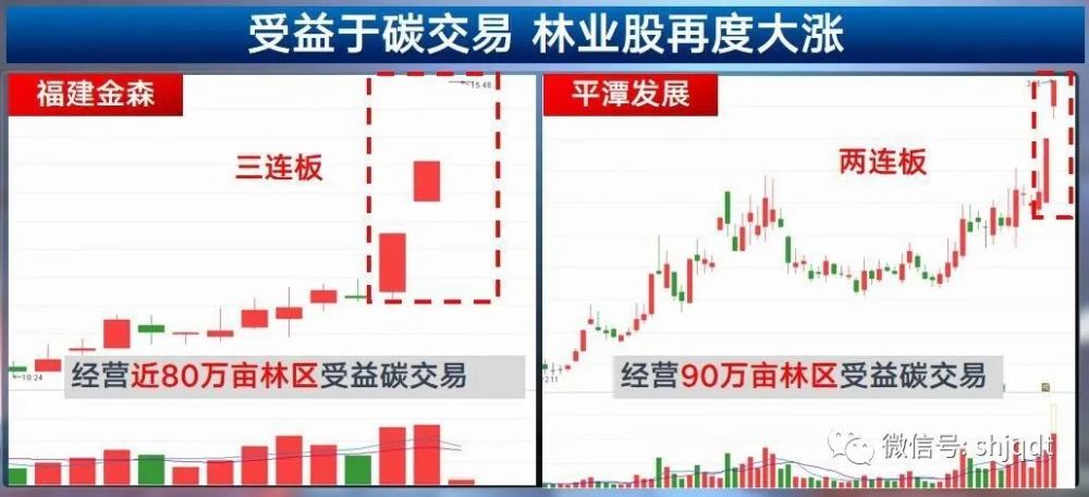 碳监测行业龙头股梳理