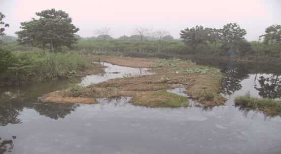 贾鲁河中牟段水质差,河道淤积严重