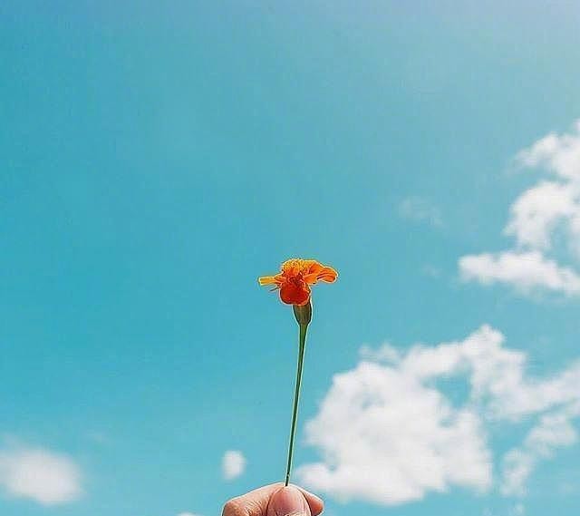 生活充满阳光的句子,句句激励人心,非常给力!