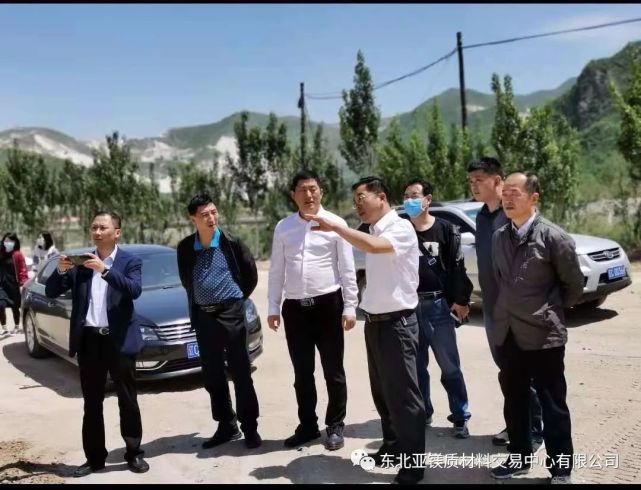 (图一)市督查组核查现场(图二)海城镁矿耐火材料总厂治理区(图三)岫岩