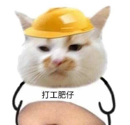 没个十年脑血栓都不敢用的表情包