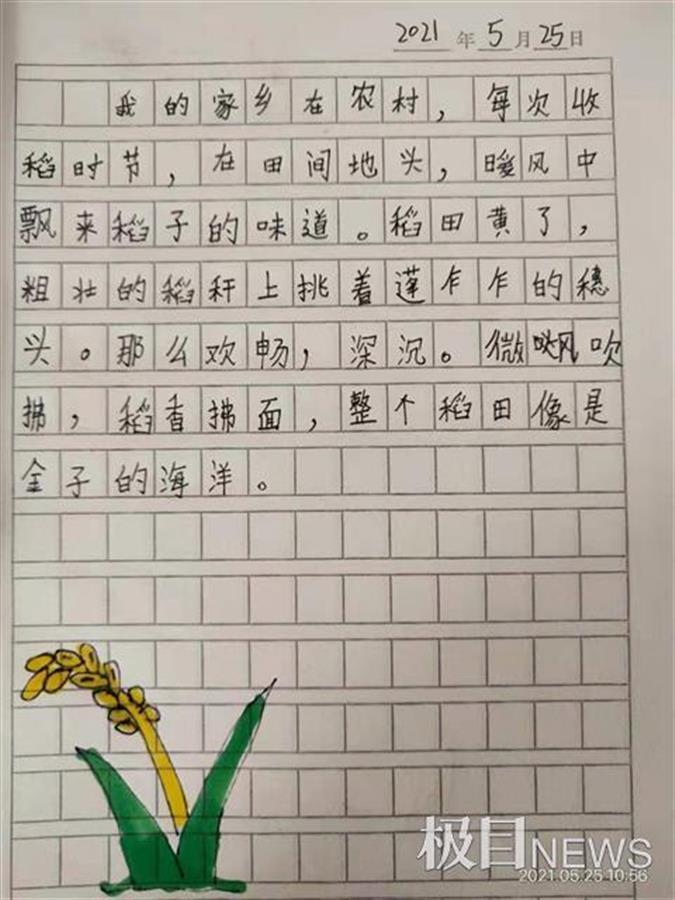 讲故事,绘画,写日记……小学生以自己的方式缅怀袁隆平爷爷