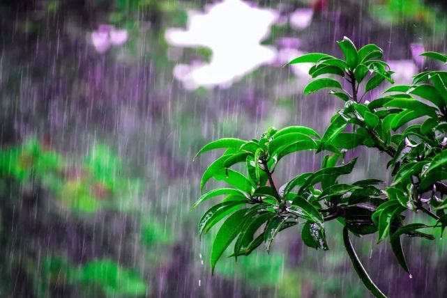 下雨天吸引人的朋友圈文案 适合下雨天发的说说大全