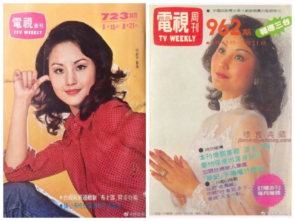 在上个世纪八九十年代,尹宝莲已经是台湾的一线演员了,曾出演了无数