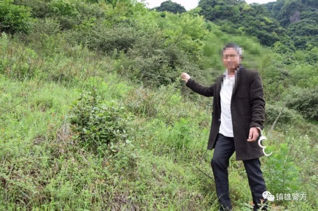 犯罪嫌疑人赵某于2020年11月6日在镇雄县城马鞍山,乌峰山等地采挖