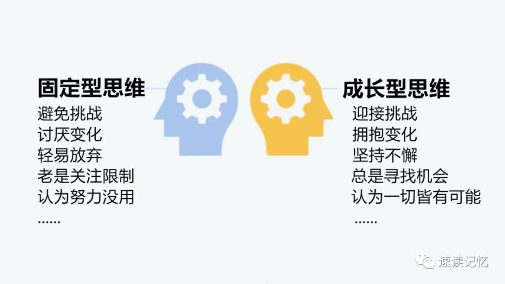 成长型思维你与成功者之间的根本差距在于思维方式的差距
