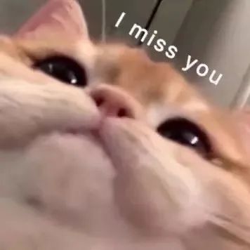 表情包|i miss you