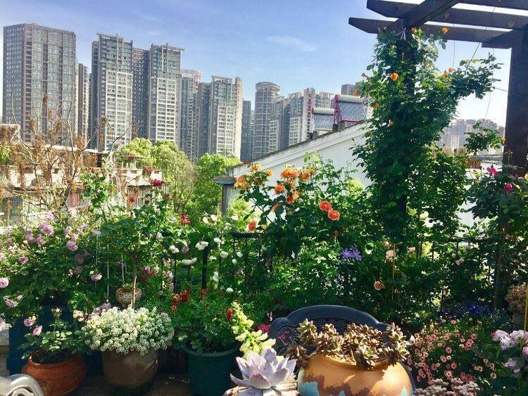 住在顶层,有个漂亮的45㎡露台花园,宅在家也能欣赏到四季风景