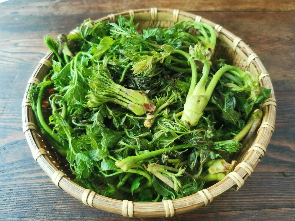 东北农村,常吃的16种山野菜,现在城市里很少见,你吃过