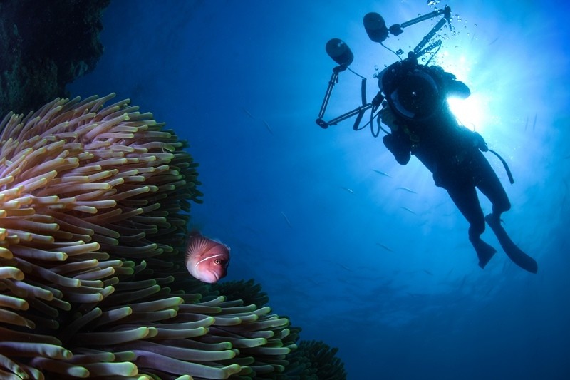 海南国际潜水节水下摄影大赛带你游览海底世界
