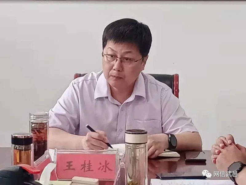 武邑县委副书记,县政府党组书记王桂冰专题调度全县新