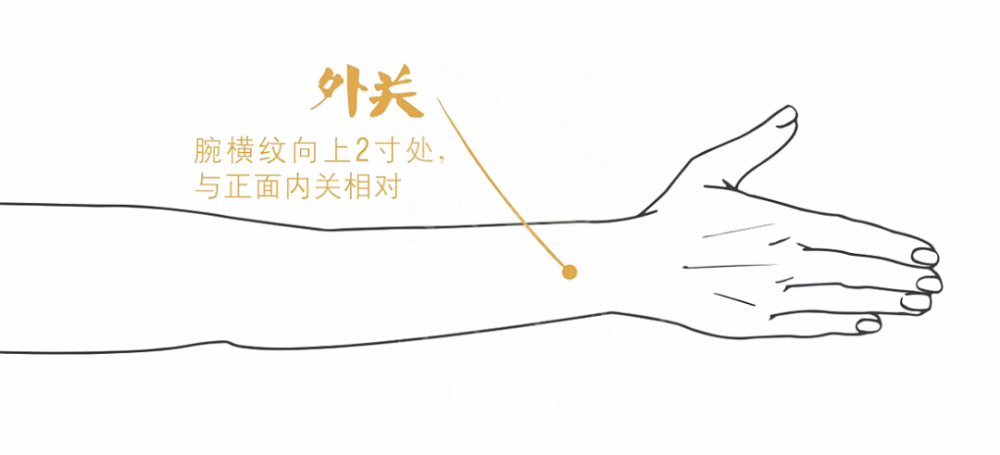 人体生命线"奇经八脉",每天按摩,气血更足!