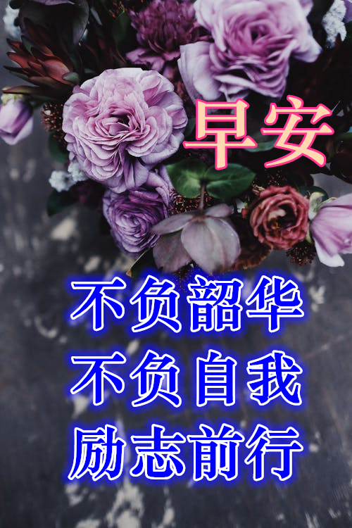 唯美早上好图片暖心祝福短信大全,最美微信早安图片带