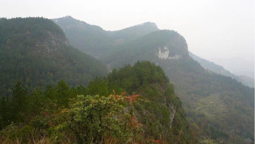 云南五峰山国家森林公园
