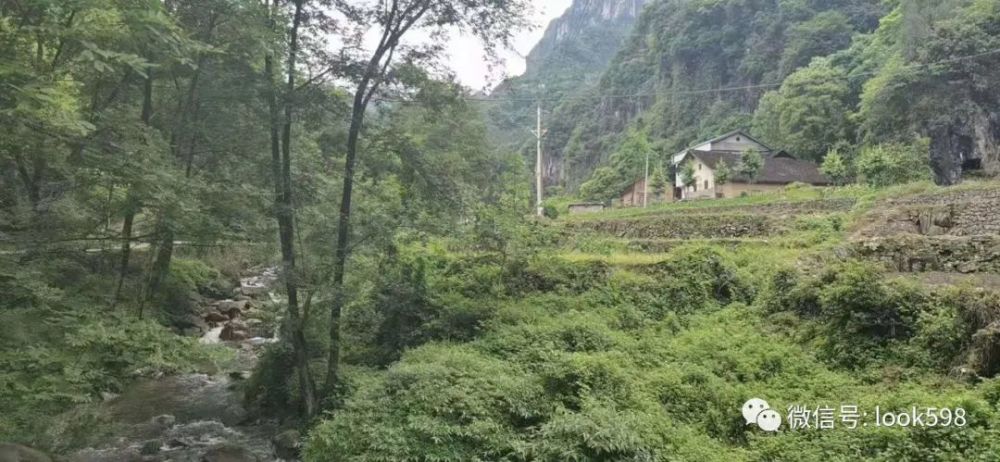 唐街湖北长阳县都镇湾土地房子25万