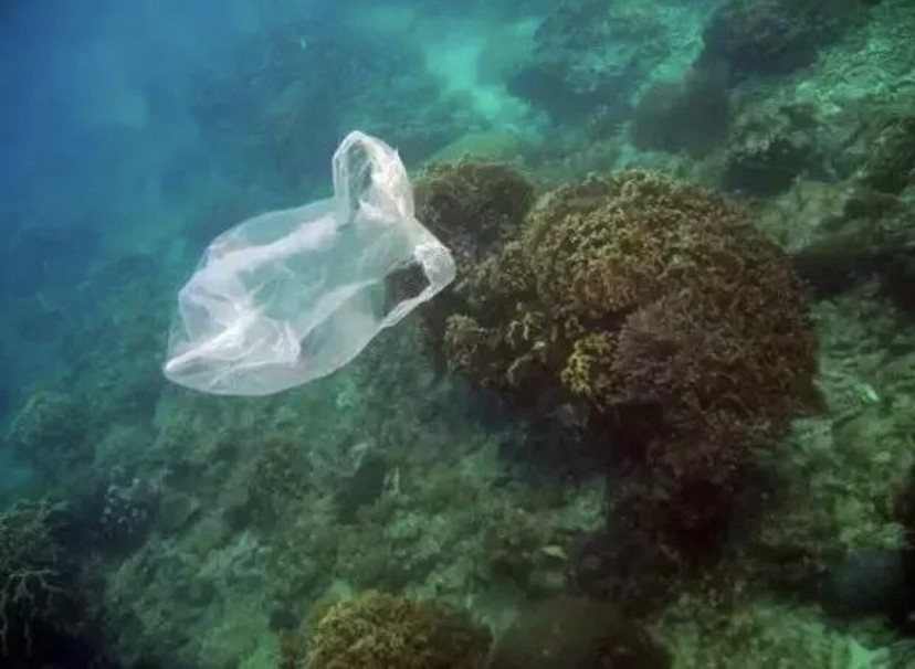 海洋垃圾的污染!