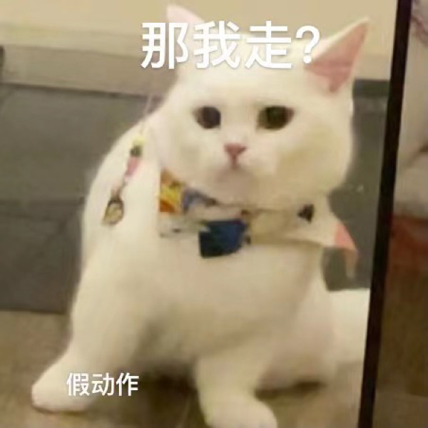 无敌可爱猫猫表情包游戏比我重要对不对