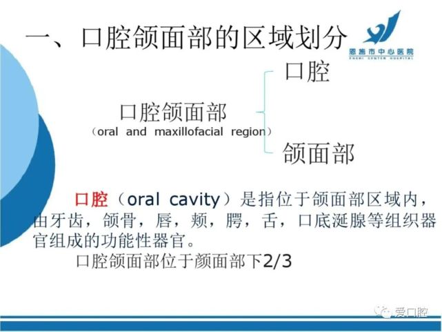 口腔颌面部解剖生理|儿童|拔牙|口腔