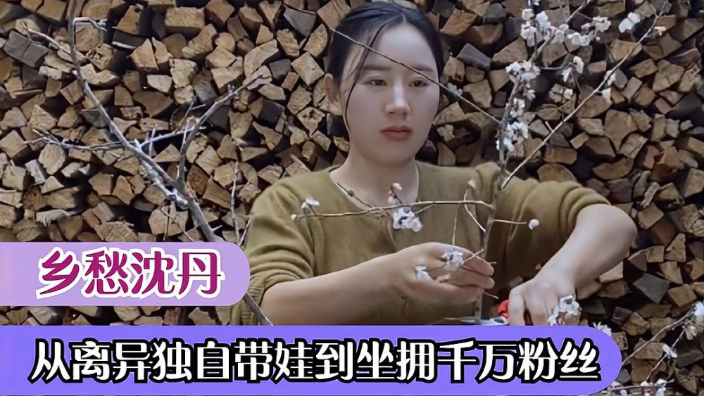 乡愁沈丹:离异女人独自带娃到坐拥千亩茶山,她究竟如何蜕变的?