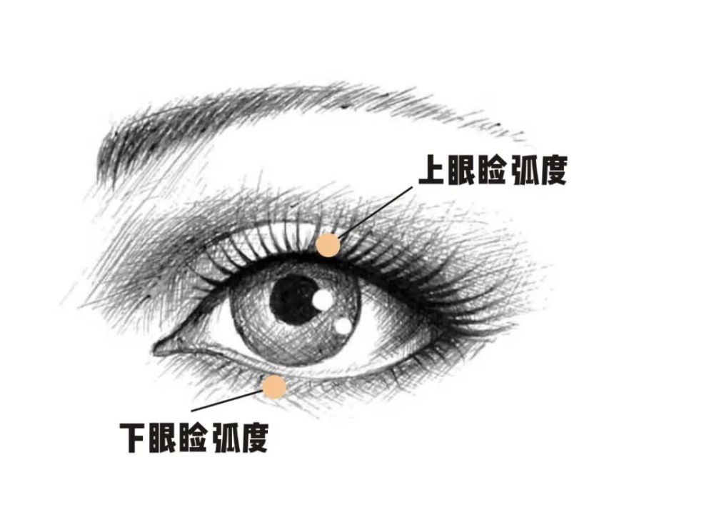 柳叶眼,顾名思义,就是眼睛形状像柳叶一样,比较 扁长,上眼睑弧度起伏