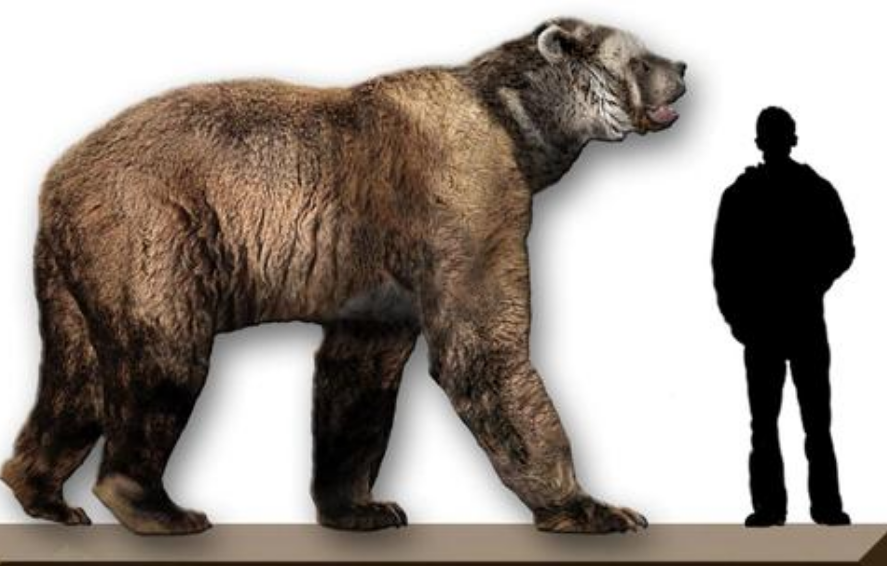 我们不要被它的外表所"蒙骗",远古时代的它并不叫大熊猫,而是叫" 食铁