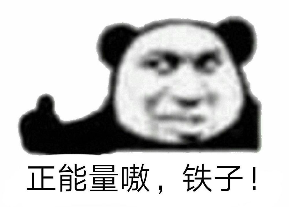 熊猫表情包:你先滚你比较专业