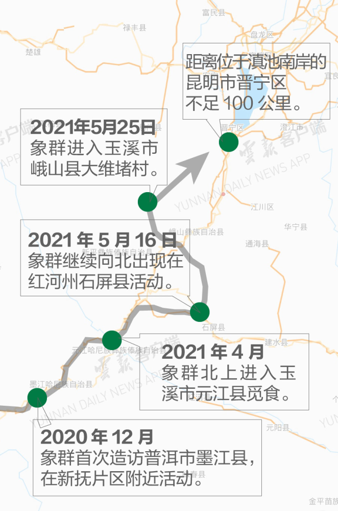 云南15头亚洲象"一路向北"迁徙,半年走了500多公里,网友:是迷路了吗?