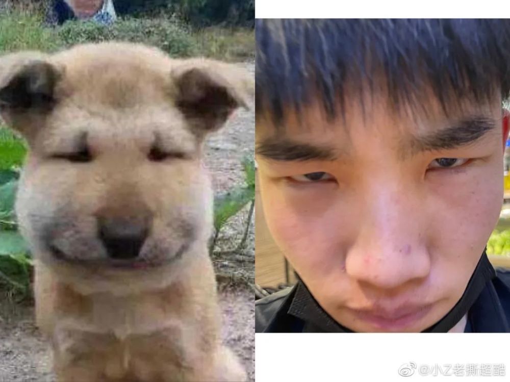 沙雕网友们曝光了一组 "人生中拍的最失败的照片" 铁汁们来感受下这些