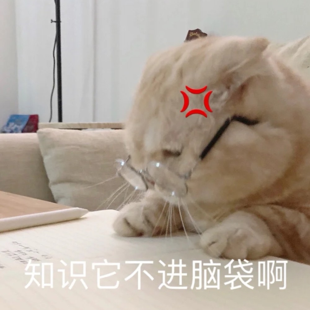 学不进去表情包