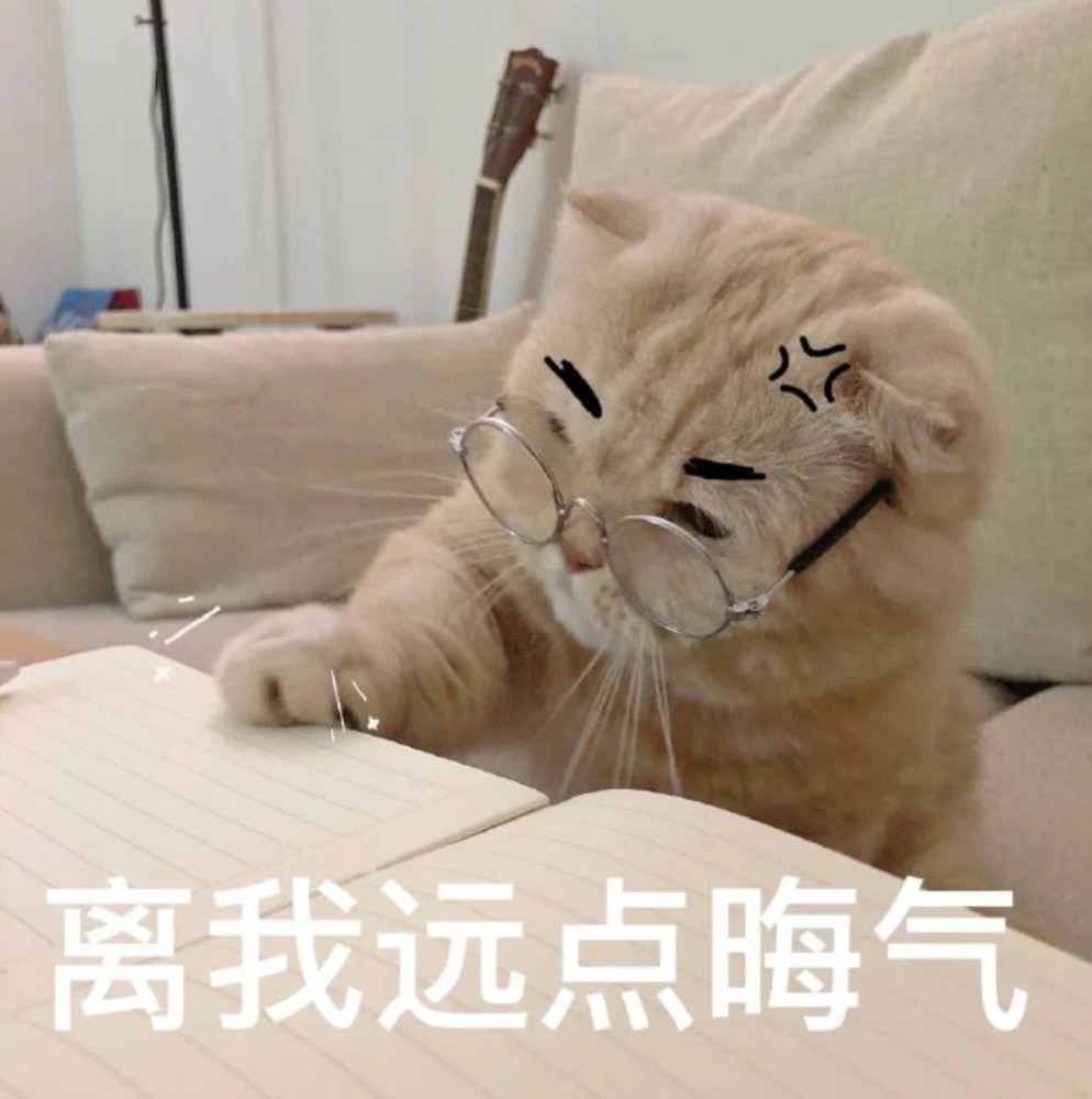 学不进去表情包