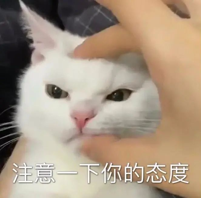 微信搜索:呆图青年 表情包  gif动图  图片制作  精选头像