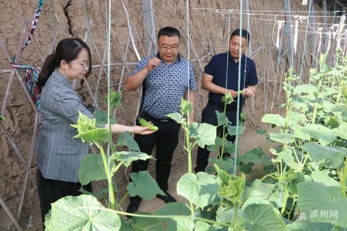 惠民县:以品种为引领品质为保证 优质农产品"进军"高端市场