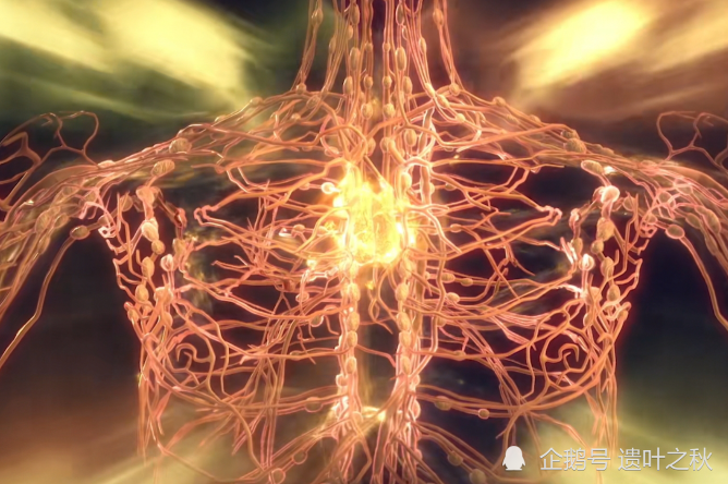 完美世界石昊至尊骨再生比之前更强大可惜这次便宜了他弟弟