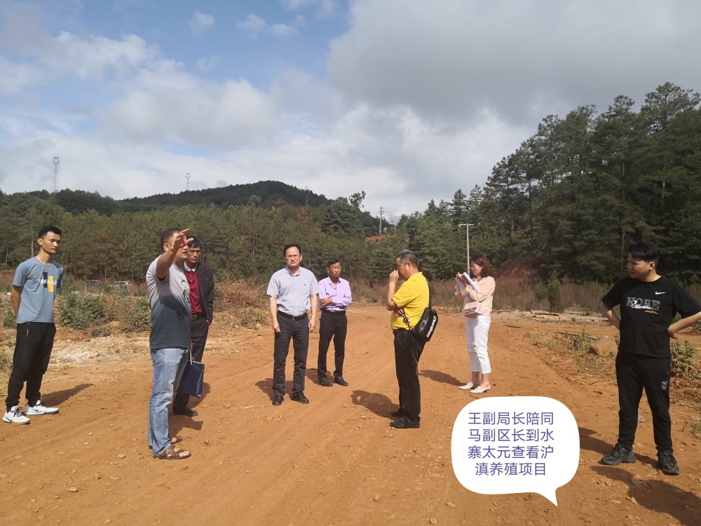 保山隆阳区马骎副区长带领相关部门,对2021年上海市对口扶贫隆阳区