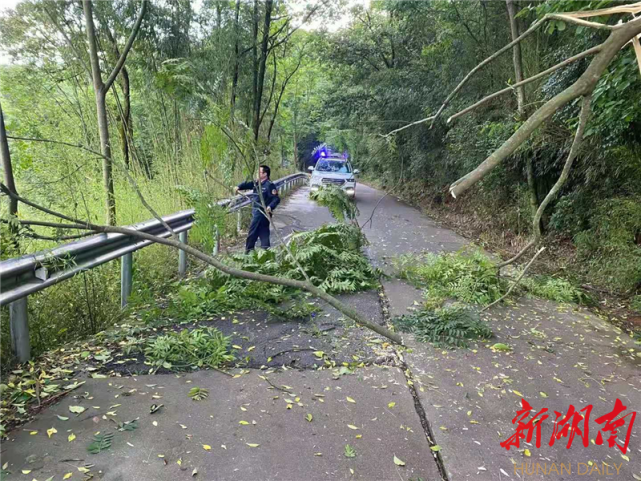 石门县维新镇:部门联动开展道路隐患排查