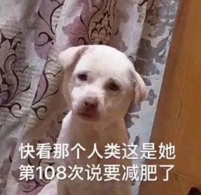 表情包抖音表情包输入法下载1013期