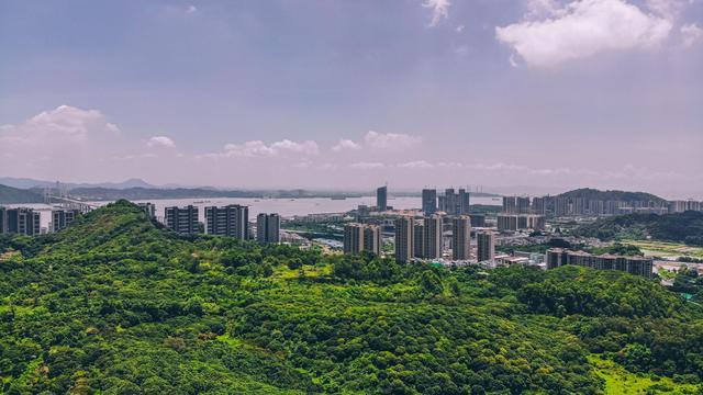南沙黄山鲁森林公园,南沙人都应该来看看的好公园,景色真的不错