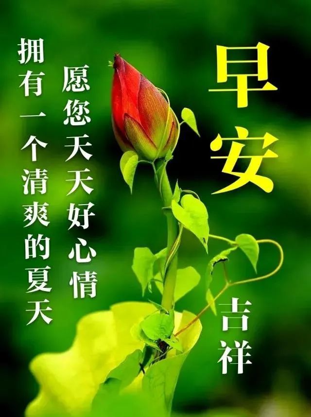 问候,平常,却很温暖,信任,无言,却最真切;友情,无形,却最珍贵;祝福