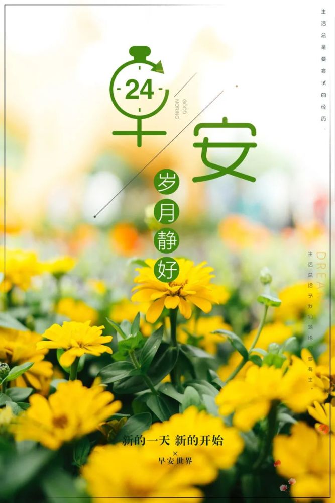 早安励志语录最新正能量图片