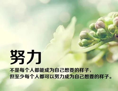 早安励志语录最新正能量图片