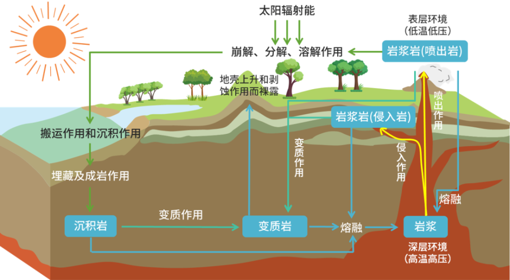 物质循环示意图