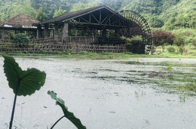 探访世外陶源景德镇进坑村 寻五代宋代窑址