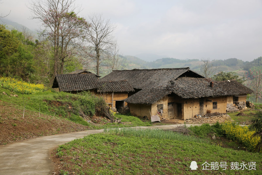 国道边建新村:秦岭这个山村的百姓告别山上土坯房住进