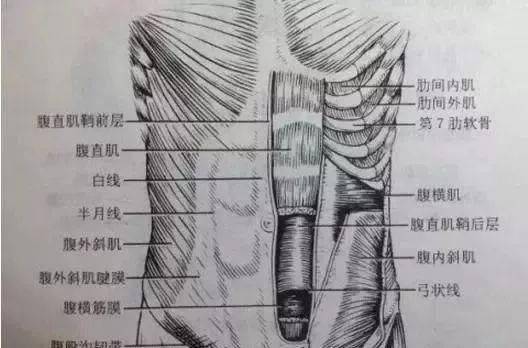 肚脐眼下面的肥肉,做什么运动可以减掉?