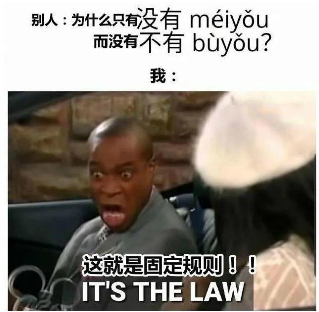 老外用"梗图"形容学中文的样子,看后令人哭笑不得,网友:厉害