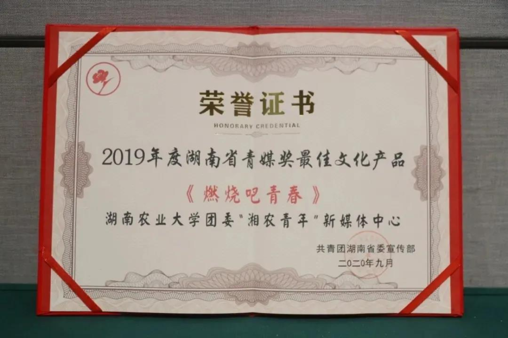 湖南农业大学团委荣获"2019年度湖南省青媒奖最佳文化产 品"奖项.