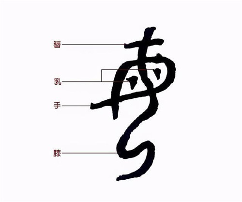 说文解字|汉字|简体字|甲骨文|繁体字|楷书