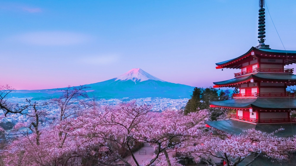 雪洒富士山,看樱花开满山头,象征爱情纯美的样子