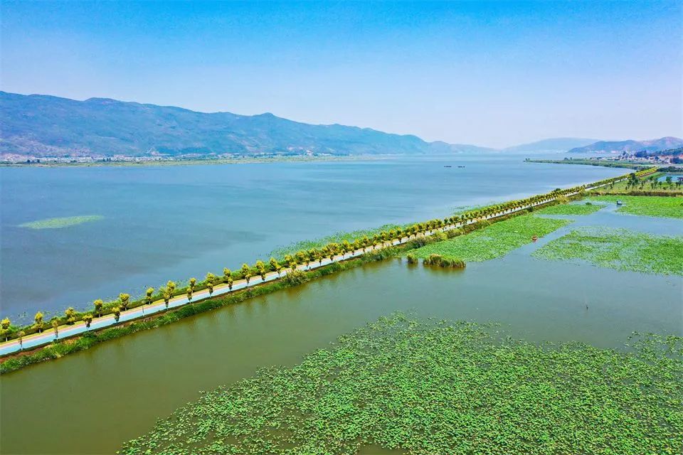 图集丨到石屏异龙湖 来一场清新宁静之旅