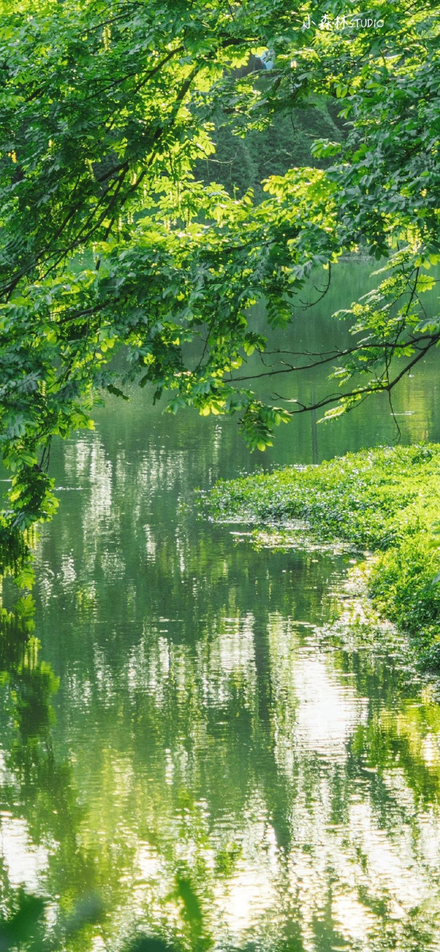 绿色系风景壁纸